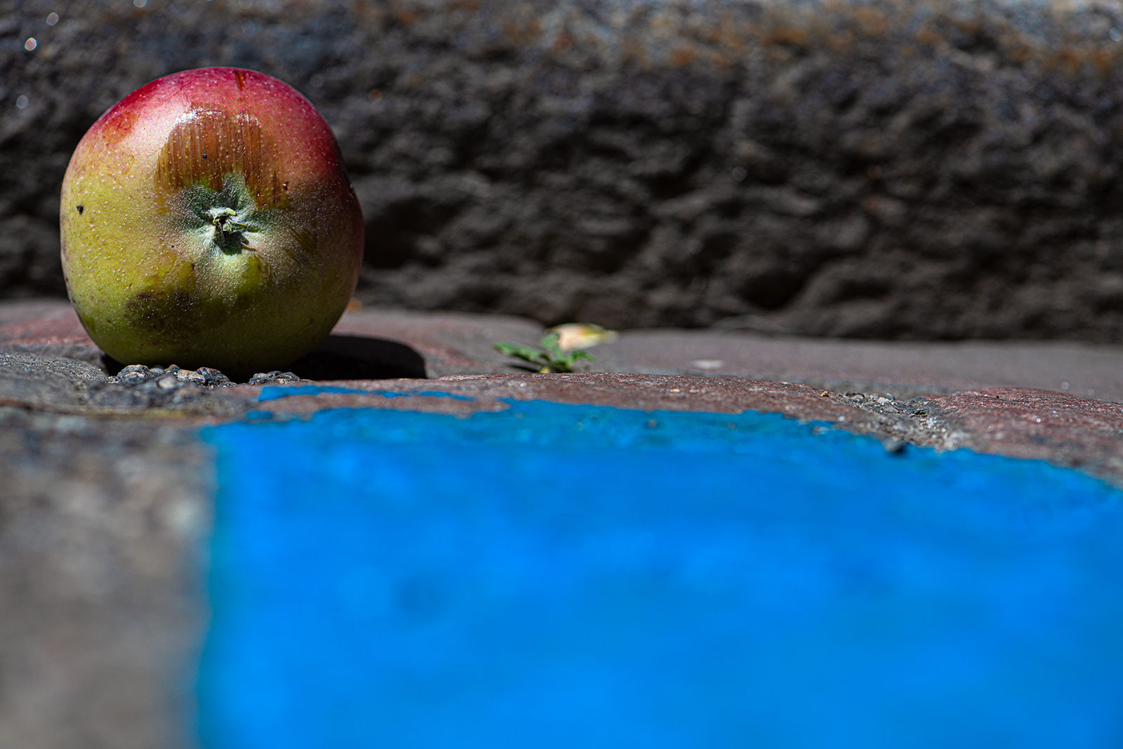 Apfel liegt auf der Strasse