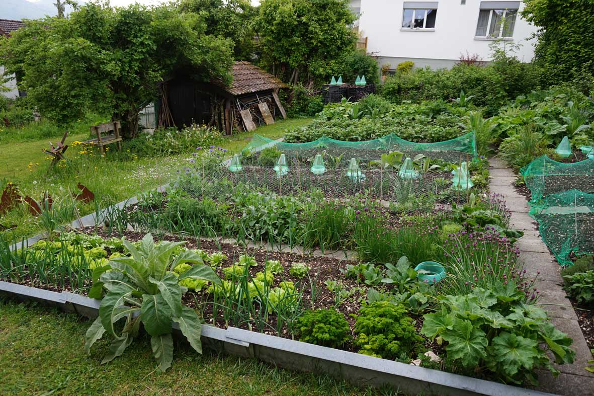 Gemüsegarten mit Pflanzenschutz