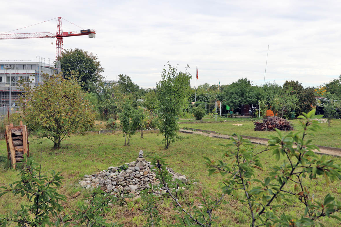 Naturgarten mit Stein- und Asthaufen