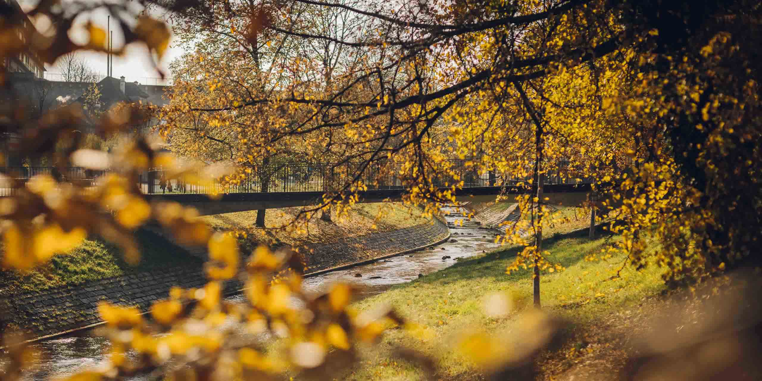 Birsig mit Brücke während Herbst