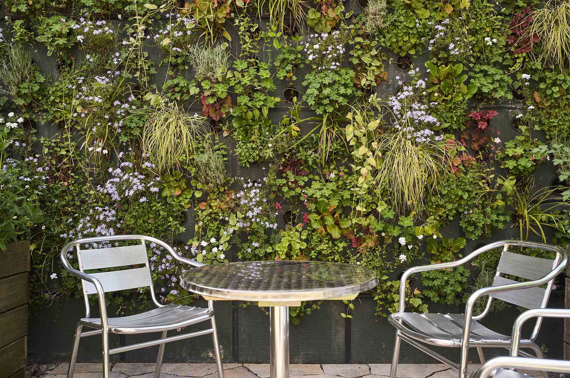 Stühle und Tisch vor der "Greencity-Wall" der Stiftung Haus Momo.