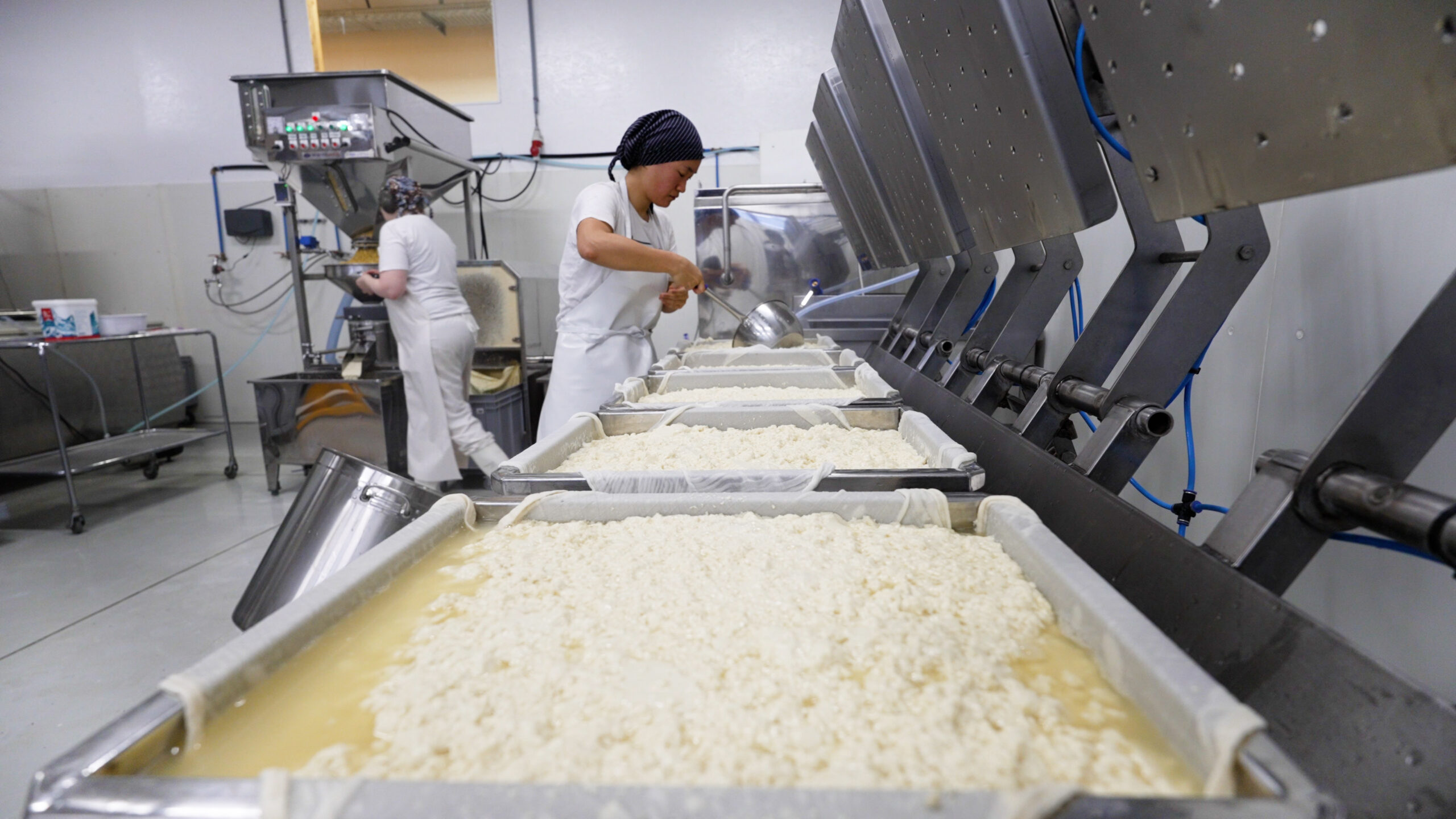 Tofu-Produktion: In grossen Behältern ist eine Tofu-farbige, wässrige Masse.