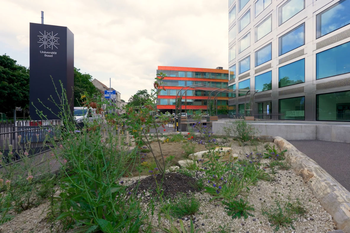 Der begrünte Vorplatz beim Biozentrum