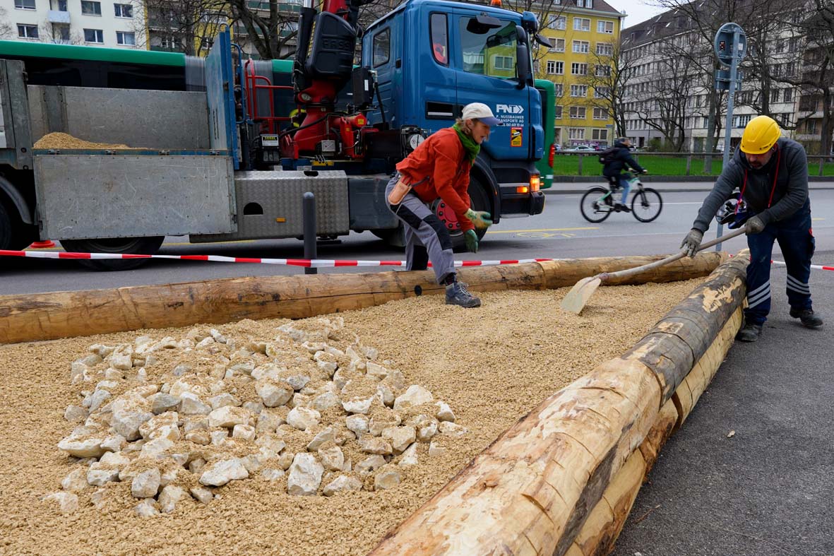 SWO legt ein Begrünungselement für Ruderalpflanzen an.