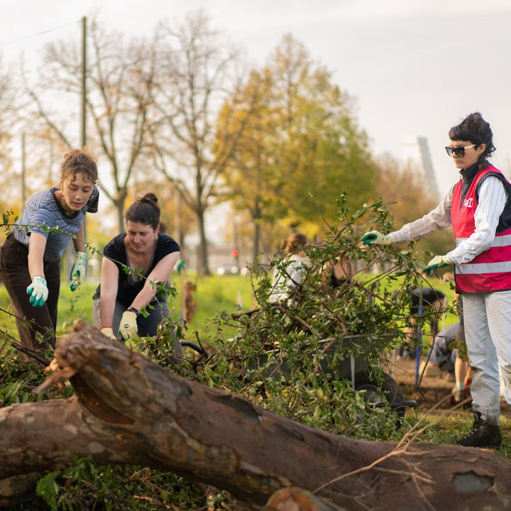 Drei Personen bei einem Biodiversitätsprojekt in Basel