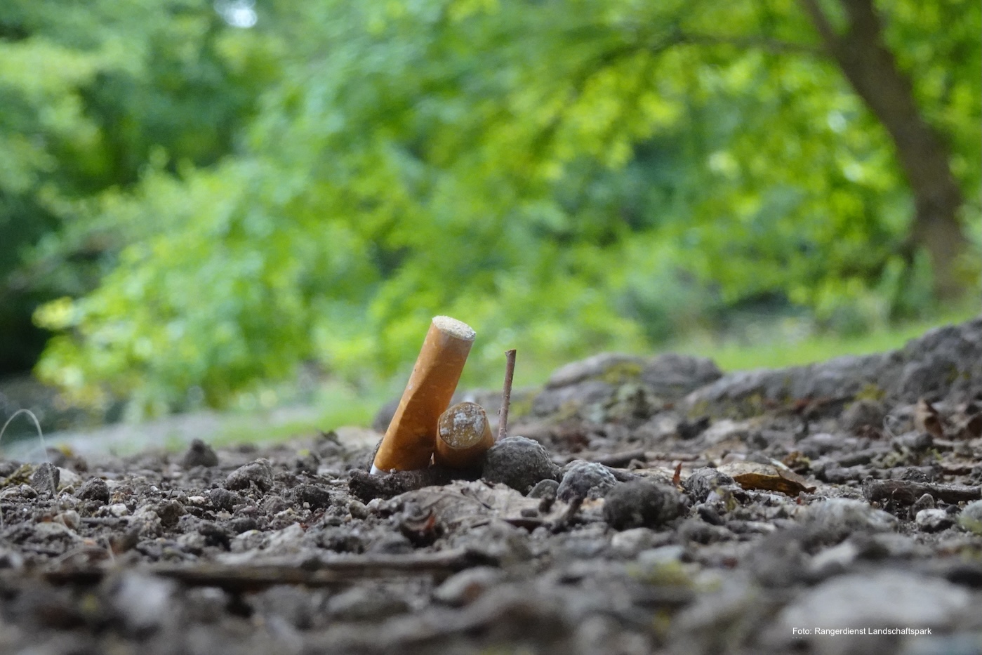 Zigarettenstummel auf dem Boden im Landschaftspark Wiese